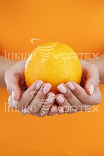 Food / drink royalty free stock image #590577015