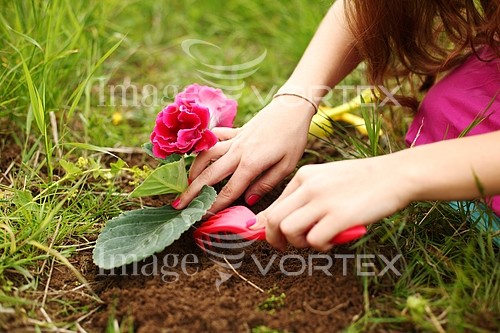 Industry / agriculture royalty free stock image #592243396