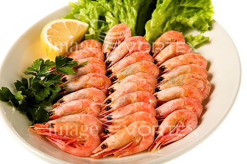 Food / drink royalty free stock image #594704558