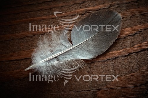 Other royalty free stock image #599081282