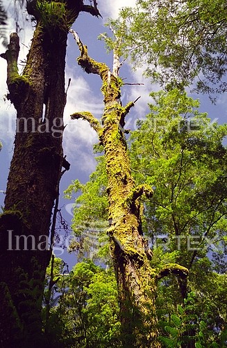 Nature / landscape royalty free stock image #606098404