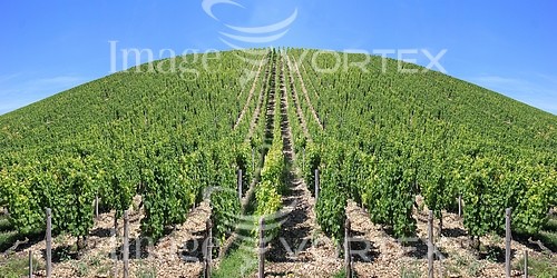 Industry / agriculture royalty free stock image #608514559