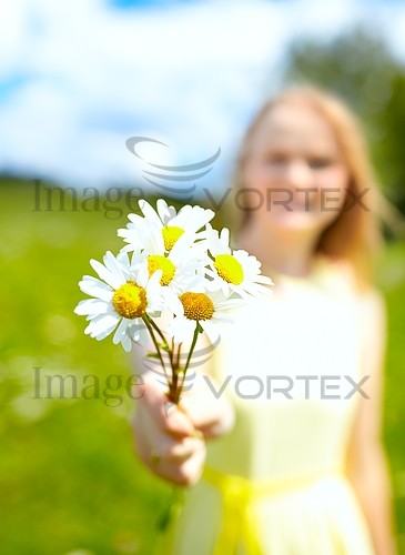 Flower royalty free stock image #610257691