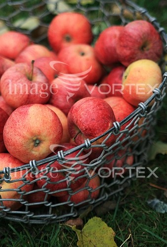 Food / drink royalty free stock image #611333107