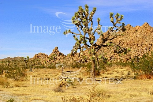 Nature / landscape royalty free stock image #612519420