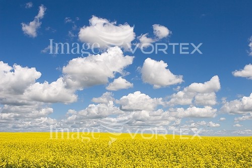 Nature / landscape royalty free stock image #616506363