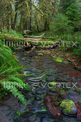 Nature / landscape royalty free stock image #617489063