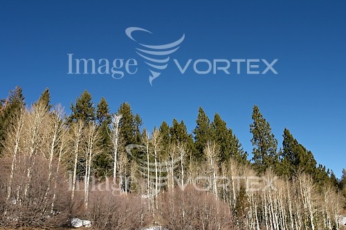 Nature / landscape royalty free stock image #627414191
