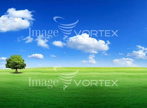 Nature / landscape royalty free stock image #628496482