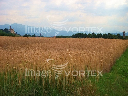Nature / landscape royalty free stock image #630440914