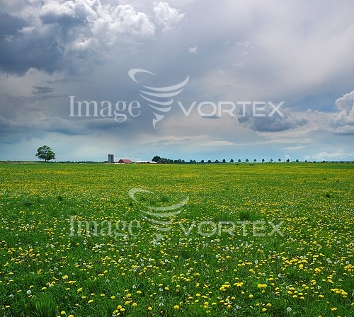 Industry / agriculture royalty free stock image #630740253