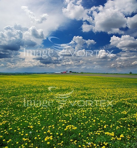 Industry / agriculture royalty free stock image #630857456