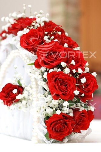 Flower royalty free stock image #632089194