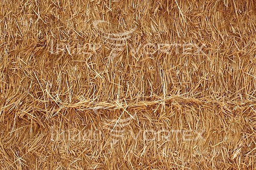 Background / texture royalty free stock image #633415979