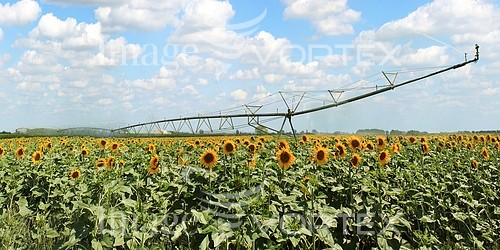Industry / agriculture royalty free stock image #633434534