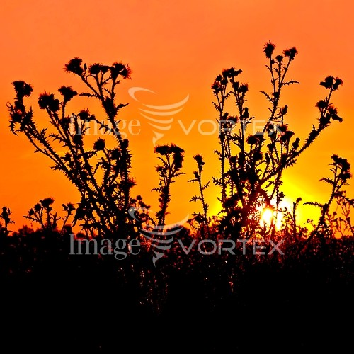 Sunset / sunrise royalty free stock image #638633922
