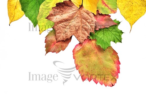 Background / texture royalty free stock image #639543367