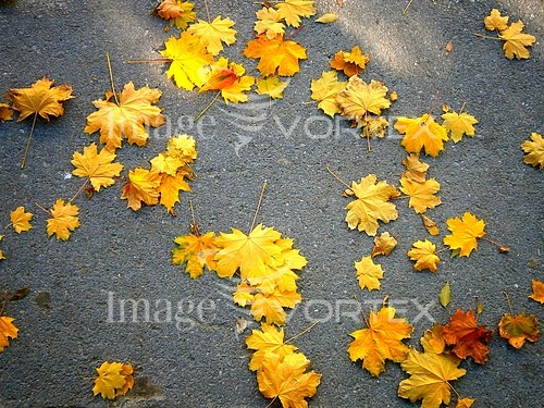 Background / texture royalty free stock image #639389119
