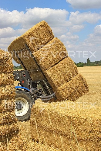 Industry / agriculture royalty free stock image #640947031