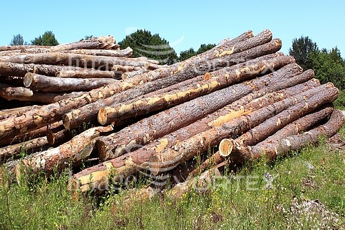 Industry / agriculture royalty free stock image #641098183