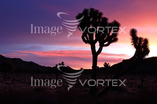 Nature / landscape royalty free stock image #642068680