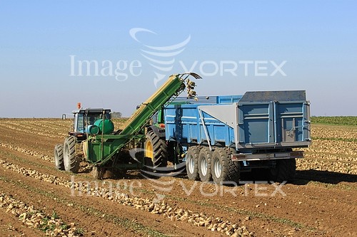 Industry / agriculture royalty free stock image #643854017