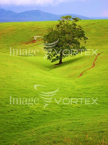 Nature / landscape royalty free stock image #650392223