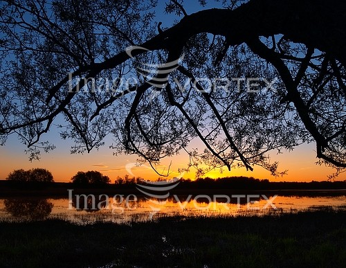 Sunset / sunrise royalty free stock image #658822087