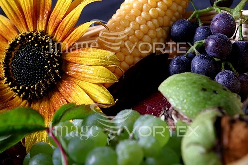 Industry / agriculture royalty free stock image #661549518