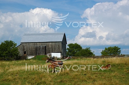 Industry / agriculture royalty free stock image #662855722