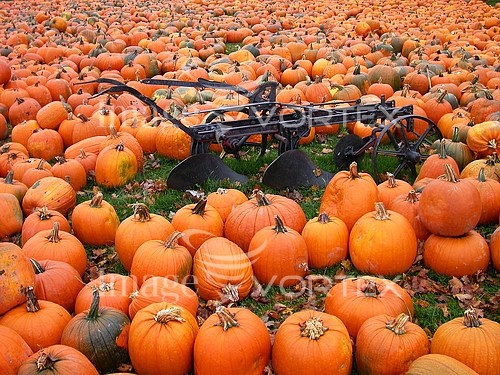 Industry / agriculture royalty free stock image #666641825