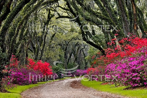 Park / outdoor royalty free stock image #671376261