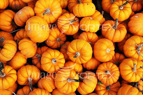 Industry / agriculture royalty free stock image #690794196