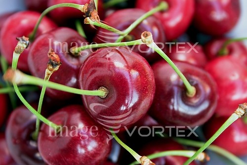 Food / drink royalty free stock image #695279104