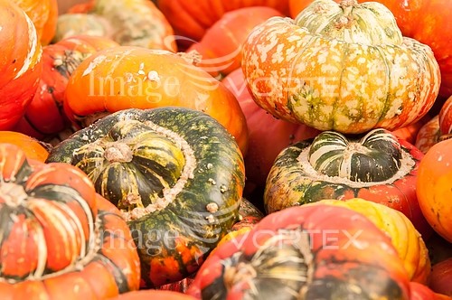 Industry / agriculture royalty free stock image #697990539