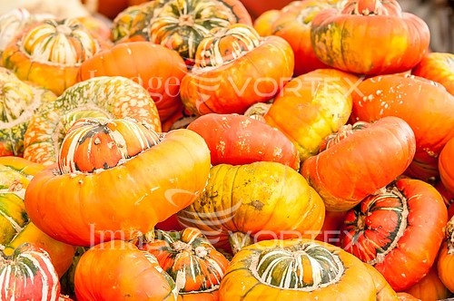 Industry / agriculture royalty free stock image #698050784