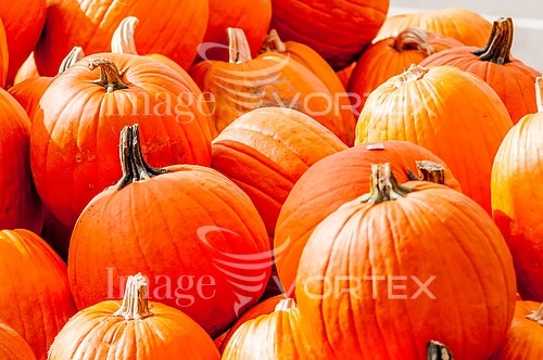 Industry / agriculture royalty free stock image #698360496