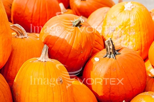 Industry / agriculture royalty free stock image #698375773