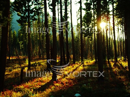 Nature / landscape royalty free stock image #702109475