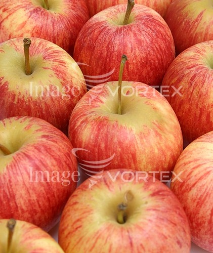 Food / drink royalty free stock image #703347795