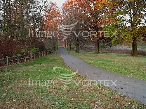 Park / outdoor royalty free stock image #703443639