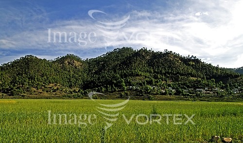 Nature / landscape royalty free stock image #708104813