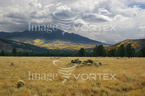 Nature / landscape royalty free stock image #711541025