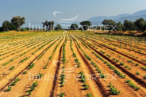Industry / agriculture royalty free stock image #713913709