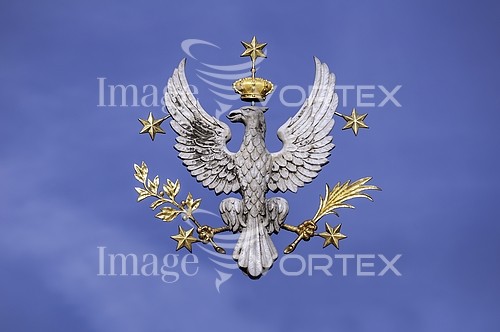 Bird royalty free stock image #724951638