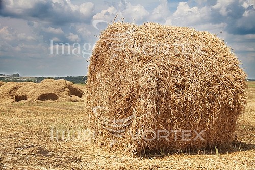 Industry / agriculture royalty free stock image #727004204