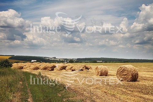 Industry / agriculture royalty free stock image #727037197