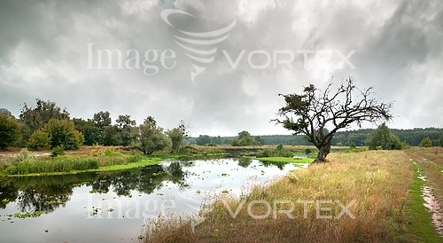 Nature / landscape royalty free stock image #728320626