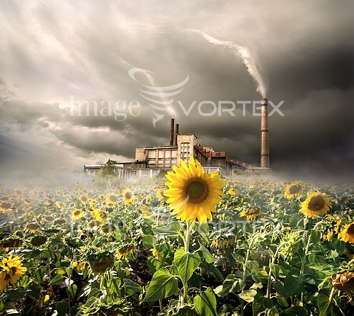 Industry / agriculture royalty free stock image #728391332