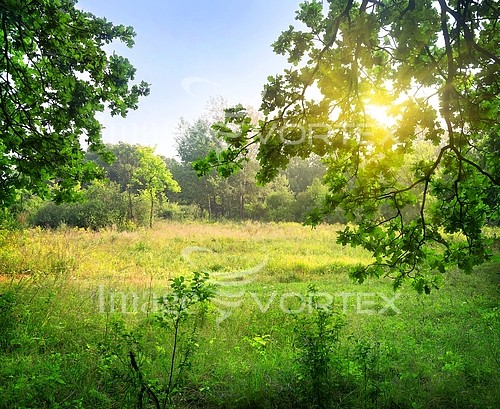 Nature / landscape royalty free stock image #729629931